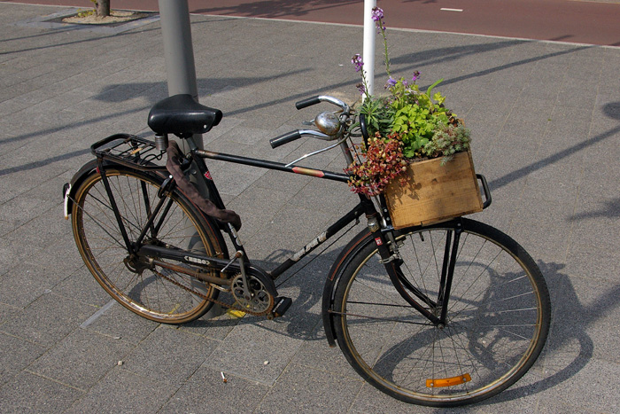 PlantBike